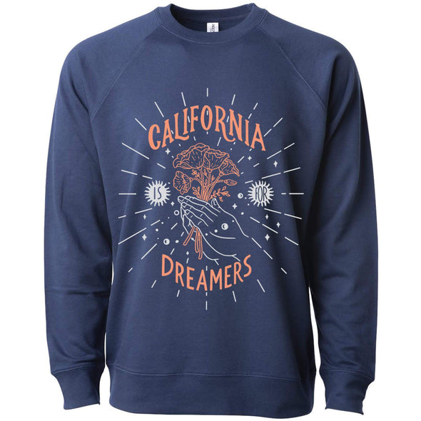 California Dreamers Raglan Sweater-CA LIMITED