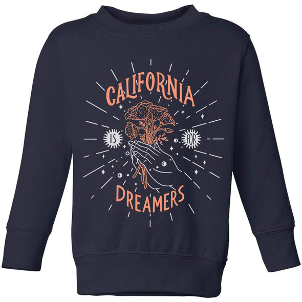 California Dreamers Toddlers Sweater-CA LIMITED