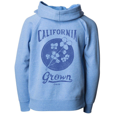 California Grown Circle Raglan Youth Zip Up Hoodie-CA LIMITED